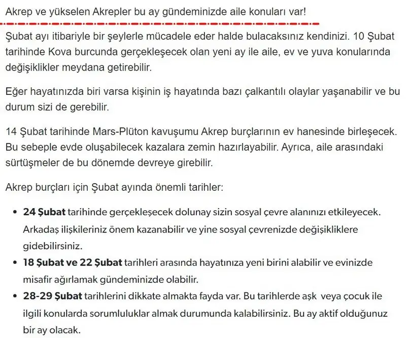 8.webp