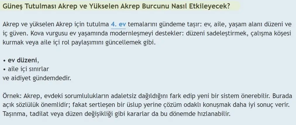 8.webp