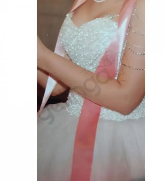 800--1626e388.webp