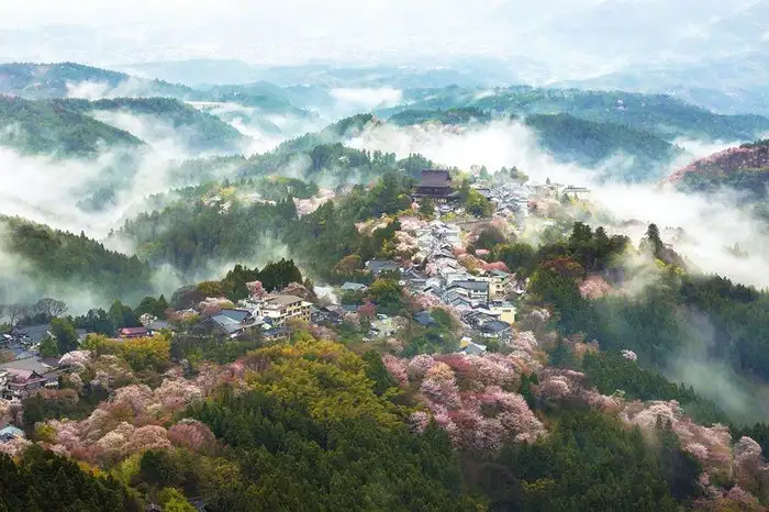 8002a1675a8244809cd7c2513054d05e.jpg.700x0_q85_autocrop_crop-smart_upscale.webp