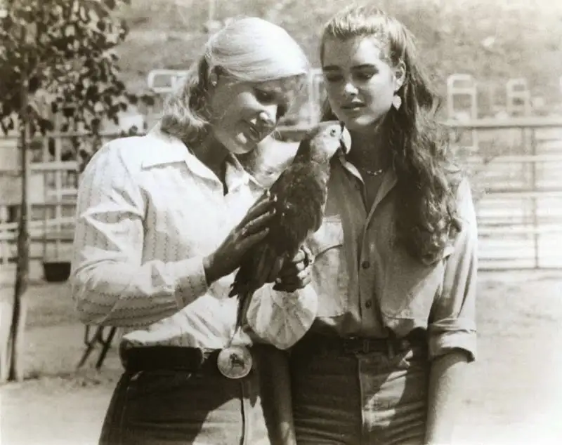 800full-brooke-shields.webp