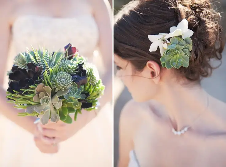 80e006dadf31e61a0276e9c025c28aa7--succulent-bouquet-hair-pieces.webp