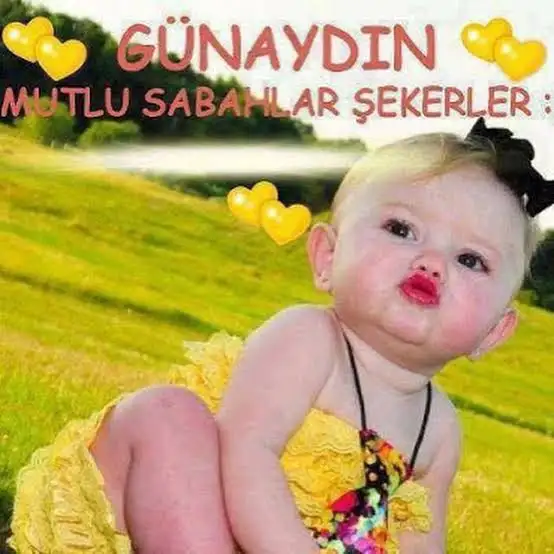 815E9A55-9CC9-4231-913A-4078C93DD990.webp