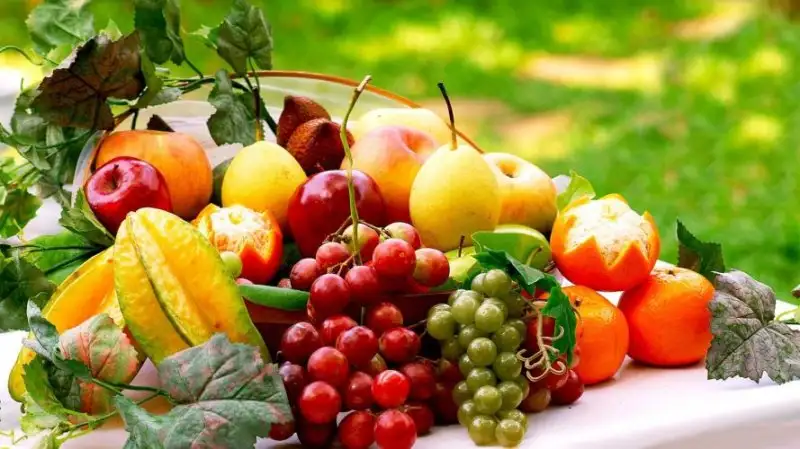 8214450.webp