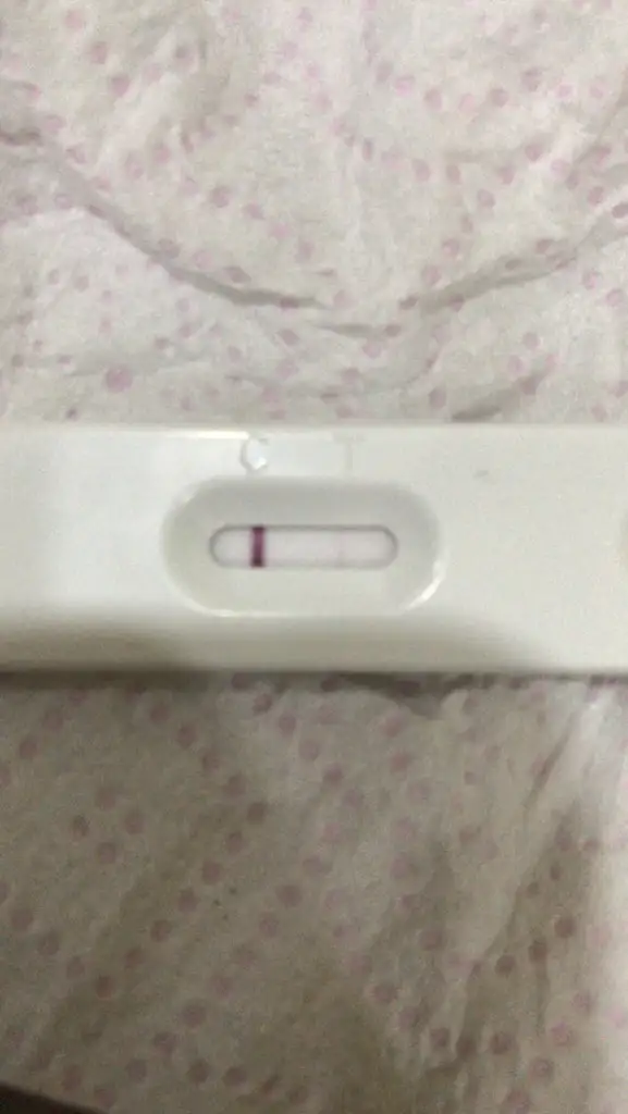 82BA6BCE-414F-4223-B51C-90BC6FEB1A45.webp