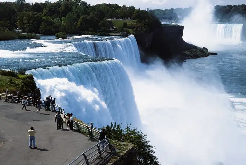 8382.webp