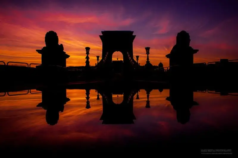 83aa09190c7a46c79c0828800f9f76b1.jpg.1000x0_q85_autocrop_crop-smart_upscale.webp