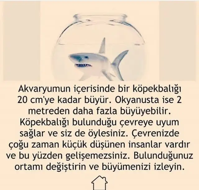852F99F4-0EE1-44A9-A386-816154C04B5E.webp