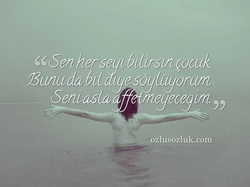858233a50cc74ddd3e263c1150272977.webp