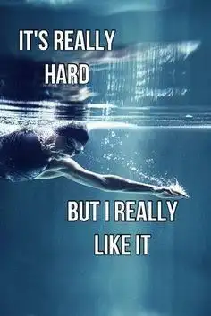 85969C31-B944-4F7A-BC0A-4796356BF679.webp