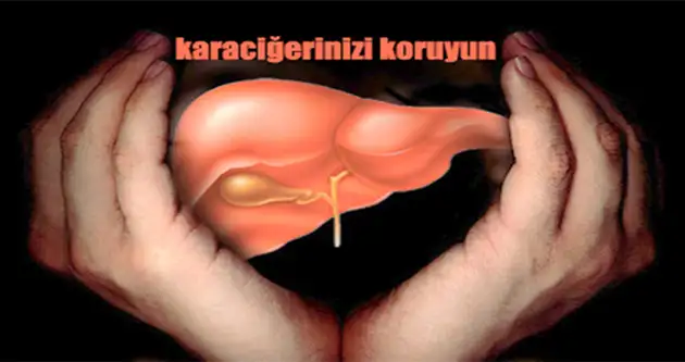 85d893c7-41d7-404a-a4f6-cb50c2d85223.webp