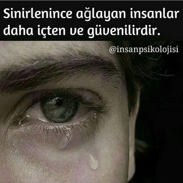 86a9418af49f4b813ab9e99a30b7aafa.webp