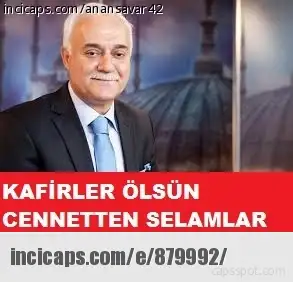 879992.webp