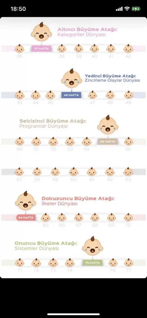 88097BD4-BFB0-47F1-89AF-CF32F8F43522.webp