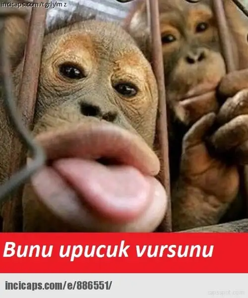 886551.webp