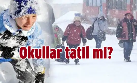 89127.webp