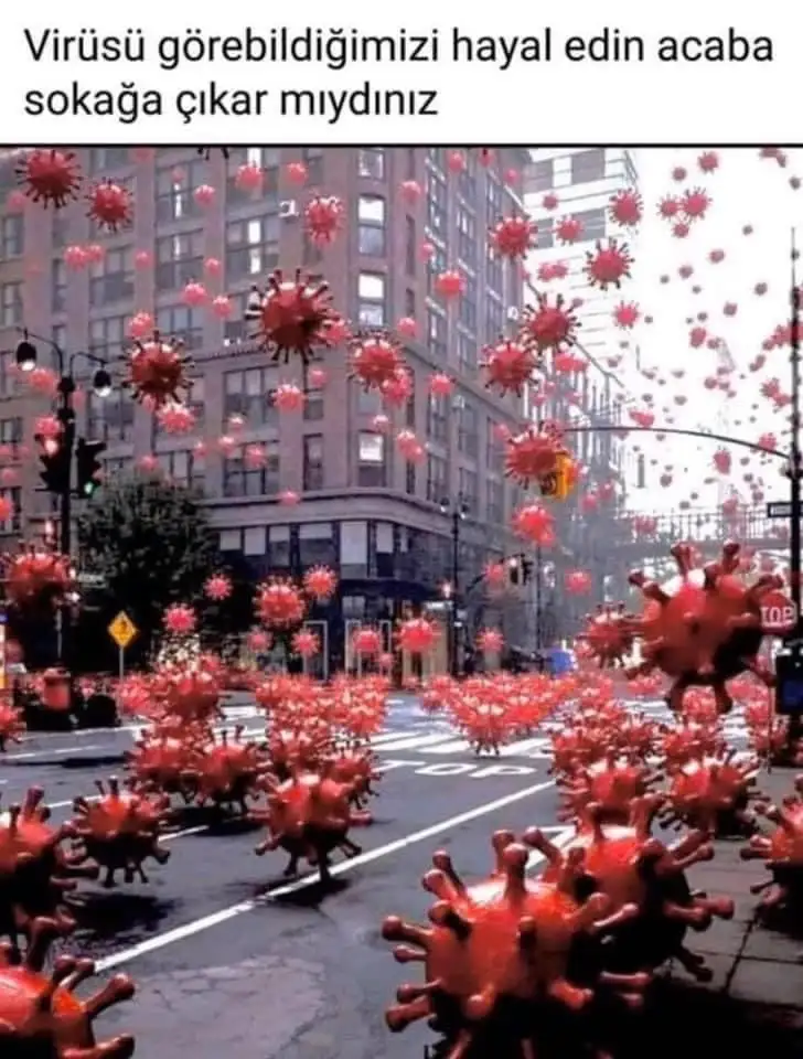 89231B41-46DB-40E2-B04E-EA0BB9C1B176.webp