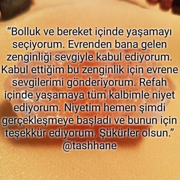 896254B3-A5D0-42E6-8757-4A4D47637DD4.webp