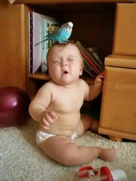 8a70aa09a93e1d9d93431197d8180411_k.webp