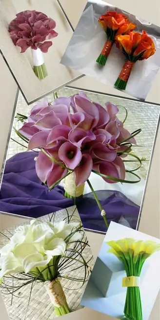8bc3ab8d127f5842ff35aad4cd361cea.webp