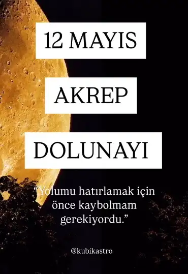 8bea3621d3b6e3a15f72ad6615f87f9f.webp