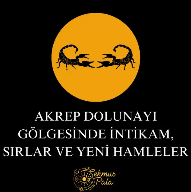8bea3621d3b6e3a15f72ad6615f87f9f.webp