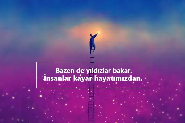 8C41FB03-8E20-4E51-8D26-E4E354F0FDFE.webp