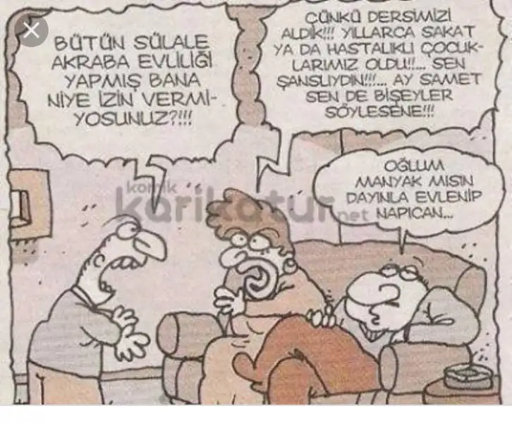 8C6161A6-9F59-417B-BB9D-9EE1FE88D63D.webp