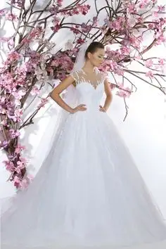 8ce8fdae87665471b426ac4c485a162e (1).webp