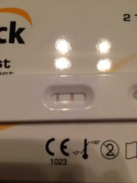 8DAC50E4-2C31-48F3-B148-C624703A0AB7.webp