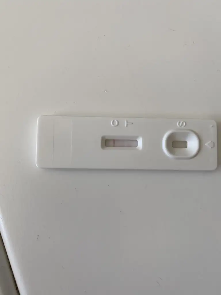 8DF420D5-8DF1-48B1-922C-DF0C9ECB6FDF.webp