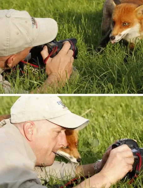 8e29424d74c8497db9d694b49517f893.jpg.700x0_q85_autocrop_crop-smart_upscale (1).webp