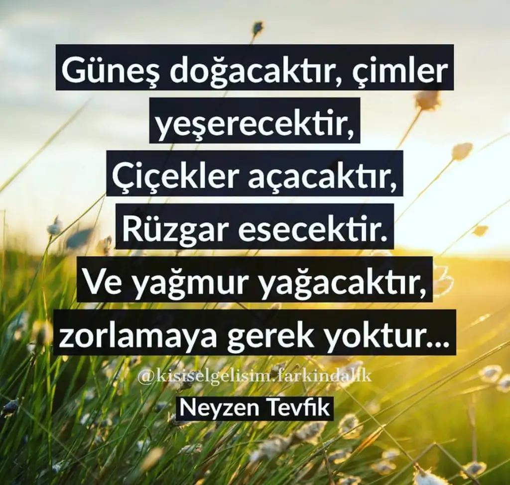 8E6438D7-EEDC-4BD6-A9BC-1C21C599E1FF.webp