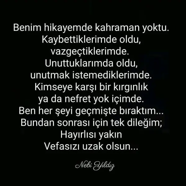 8e9262cd8c1660d26e6c65a0e062a9dc.webp