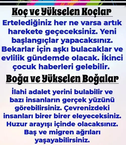 8ni 1 (2).webp
