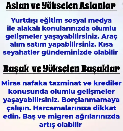 8ni 1 (4).webp