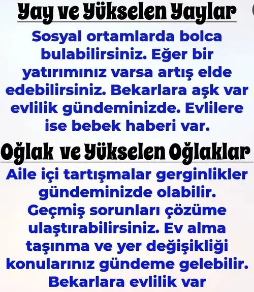 8ni 1 (6).webp