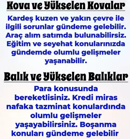 8ni 1 (7).webp
