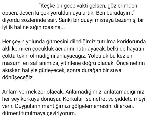 8ni 7 (2).webp