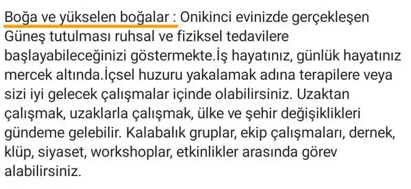 8ni 8 (3).webp