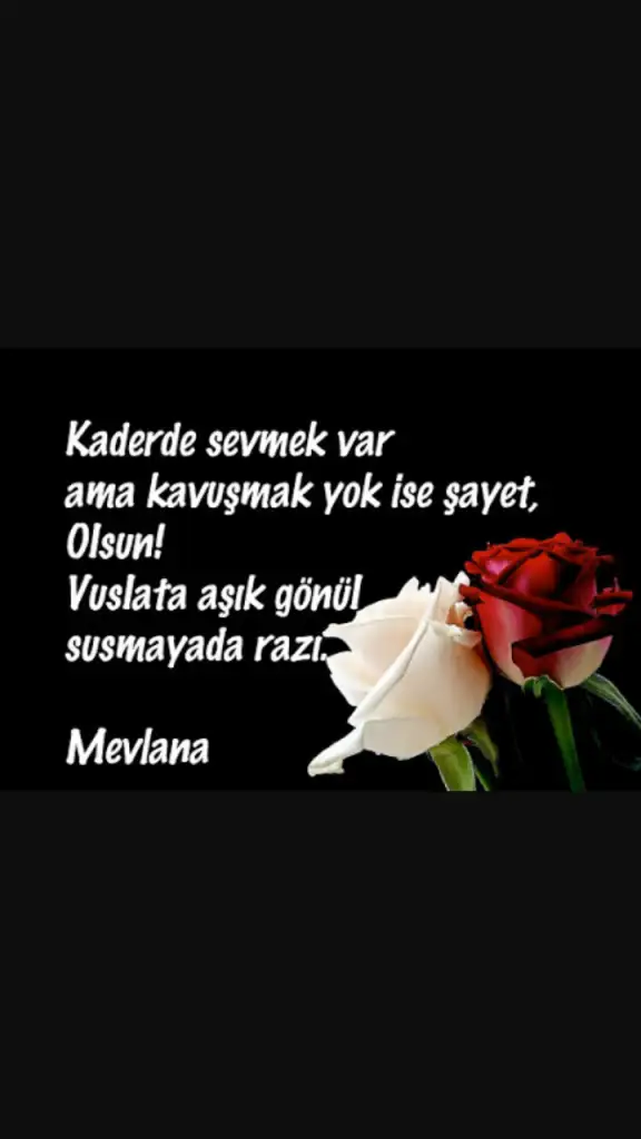 9 06 2015 - 1.webp