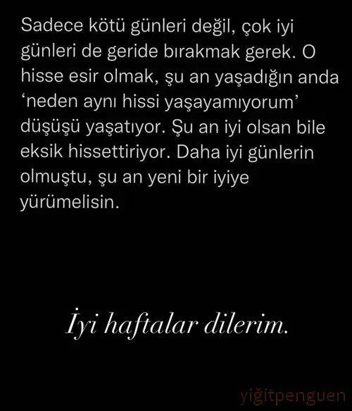 9 haft.webp
