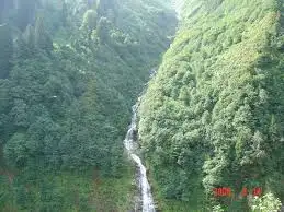 9.webp