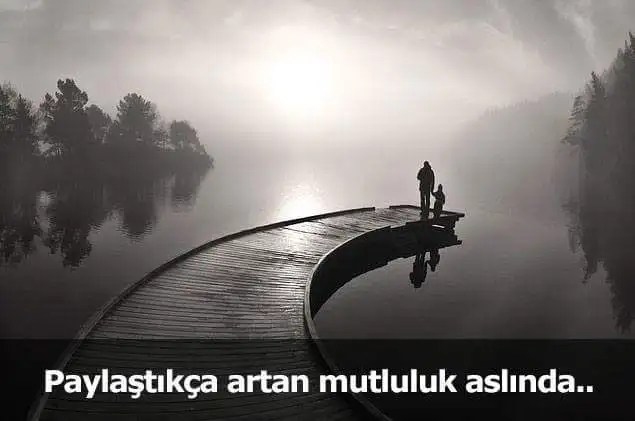9.webp