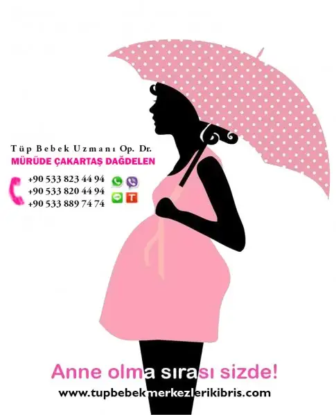 9.webp