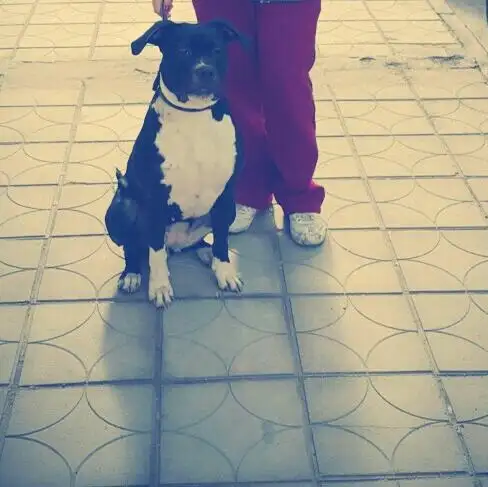 ‪+90 553 607 1687‬ 20151023_003750.webp