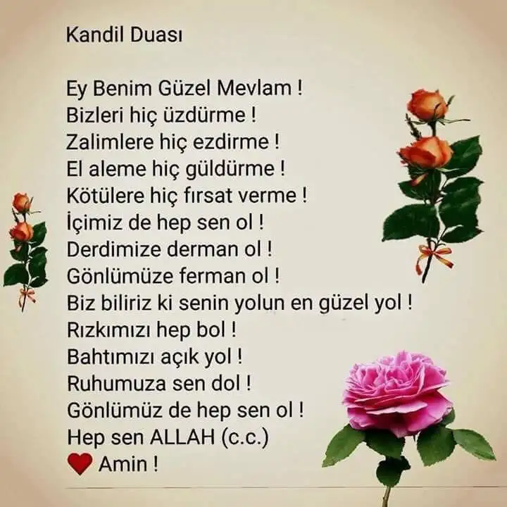 90ad3dff2806d97c513af630a60abfd1.webp