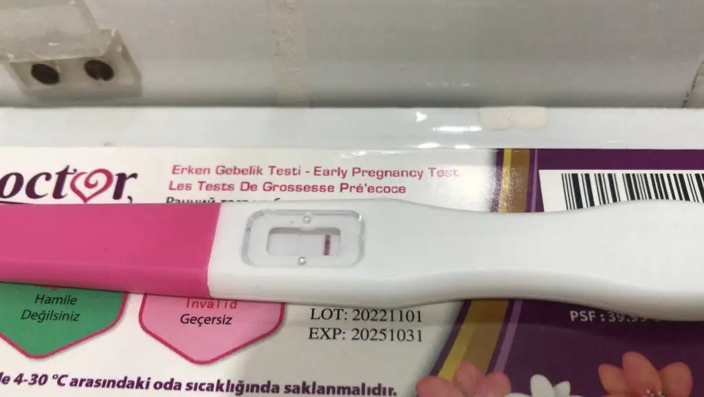 929CEEEA-403A-4612-9EDC-58502920A0E9.webp