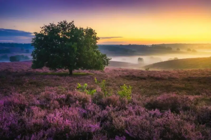9324d18f858a439e98b51dbef8536c05.jpg.1000x0_q85_autocrop_crop-smart_upscale.webp