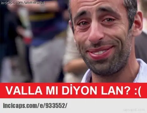 933552.webp